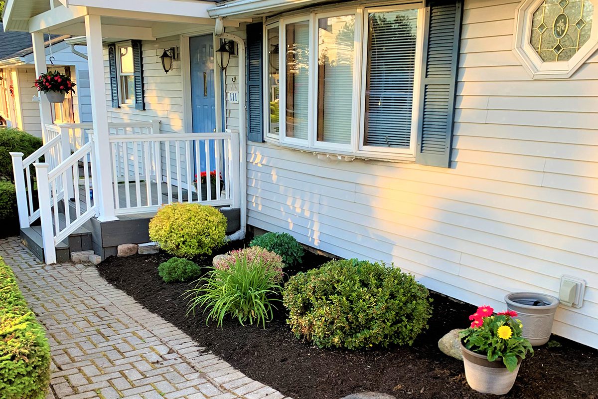 House surrounded by small plants